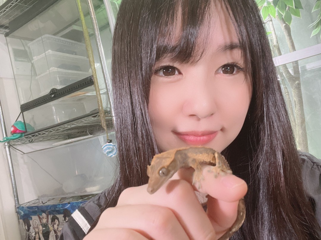 つぼみ