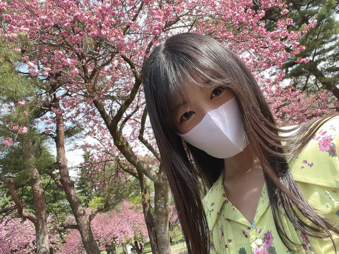 つぼみ