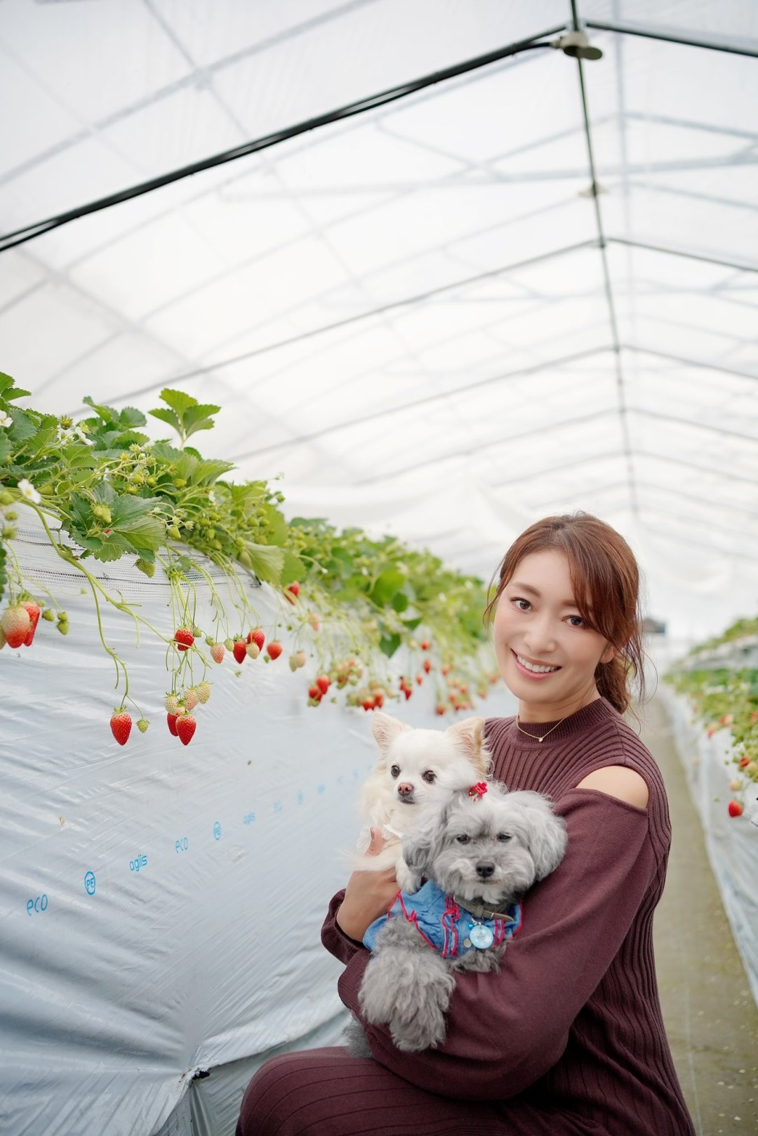 小早川怜子