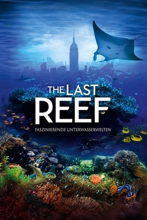 最后的珊瑚礁：海底世界