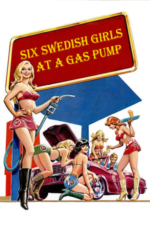 六个瑞典女孩在加油站